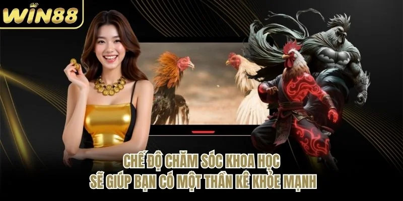 Chế độ chăm sóc khoa học sẽ giúp bạn có một thần kê khỏe mạnh