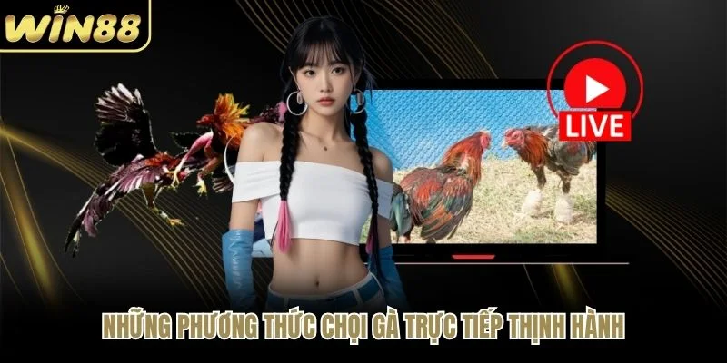 Những phương thức chọi gà trực tiếp thịnh hành