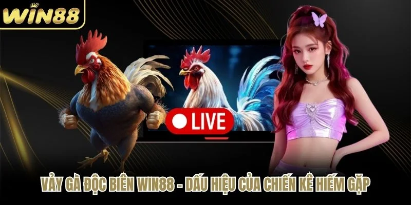 Vảy Gà Độc Biên WIN88 - Dấu Hiệu Của Chiến Kê Hiếm Gặp